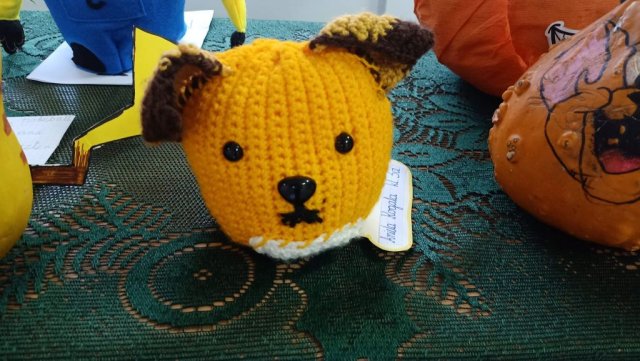 b_1024_768_0_00_images_2023_2024_Pociask_dyniowy_konkurs_410632401_821000499827900_8635873884636477157_n